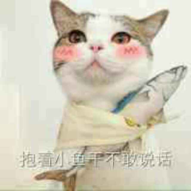 小飞
