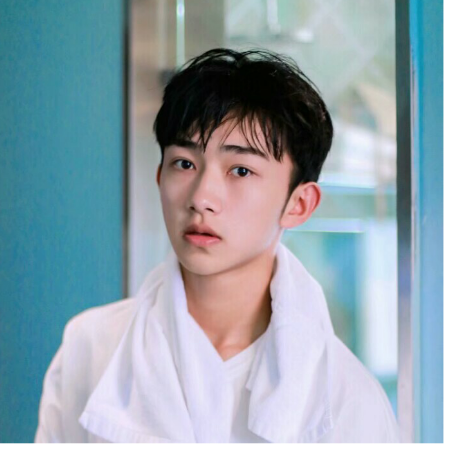 婧小欢的菠萝大象