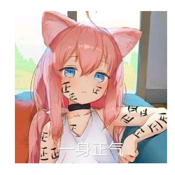 一身正气猫宫酱