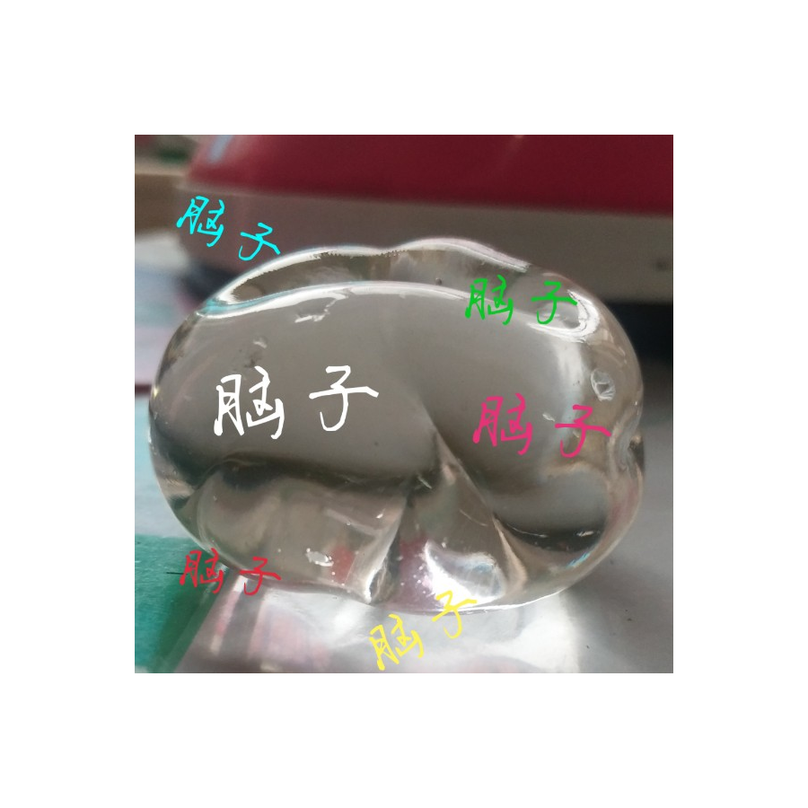 未脑