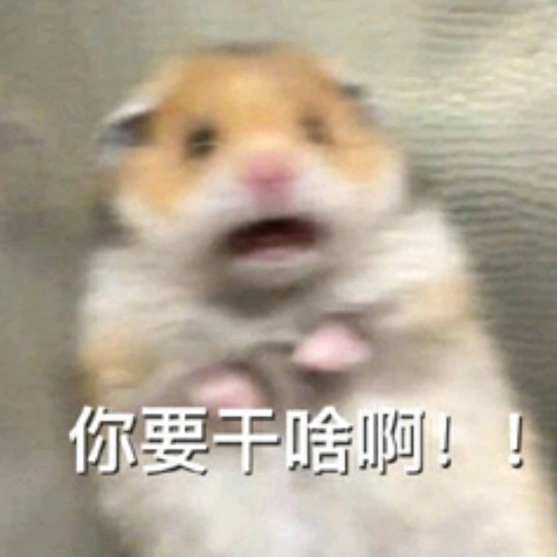 你有什么可乐🥤