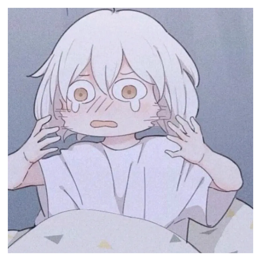 鹤鹤