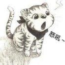 虎皮猫咪