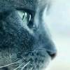 User2290626