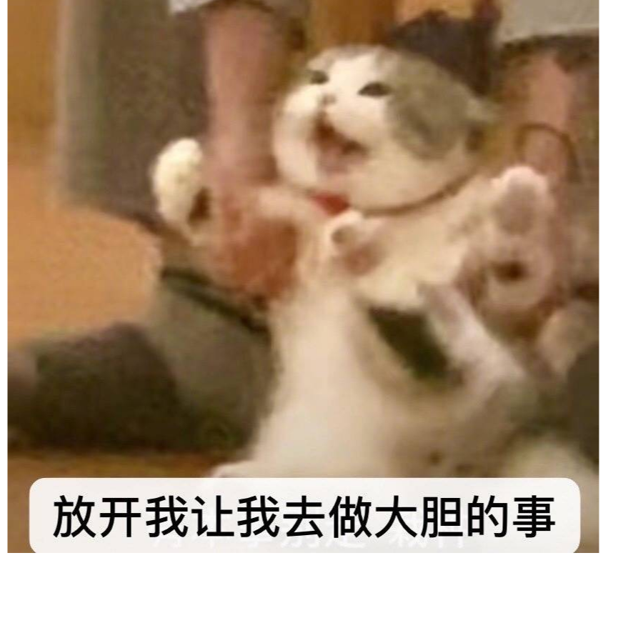 就是这个