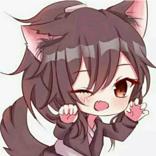 傻猫
