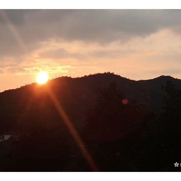 又菜又爱玩