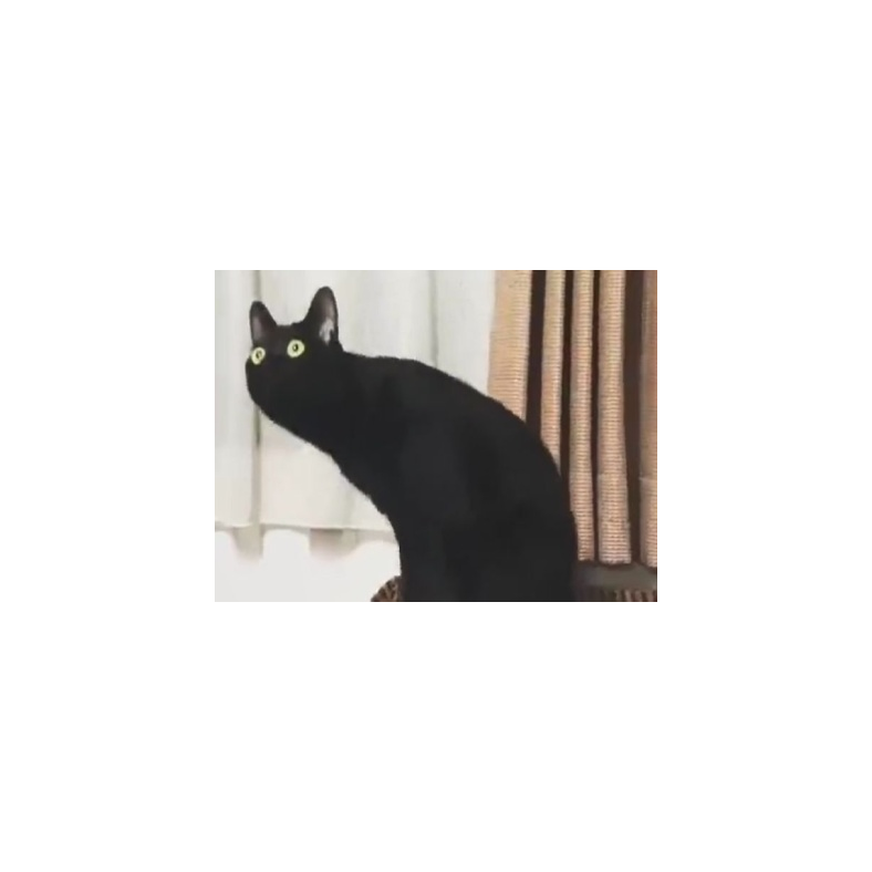 仄