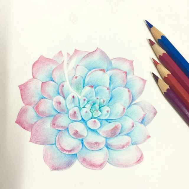 还能在热点