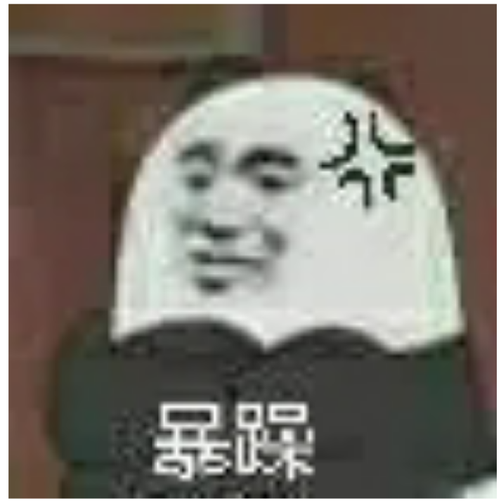 一只小龙龍