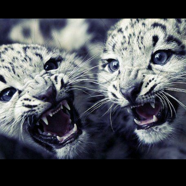 [邀请码]《无限远征队》邀请码集中贴