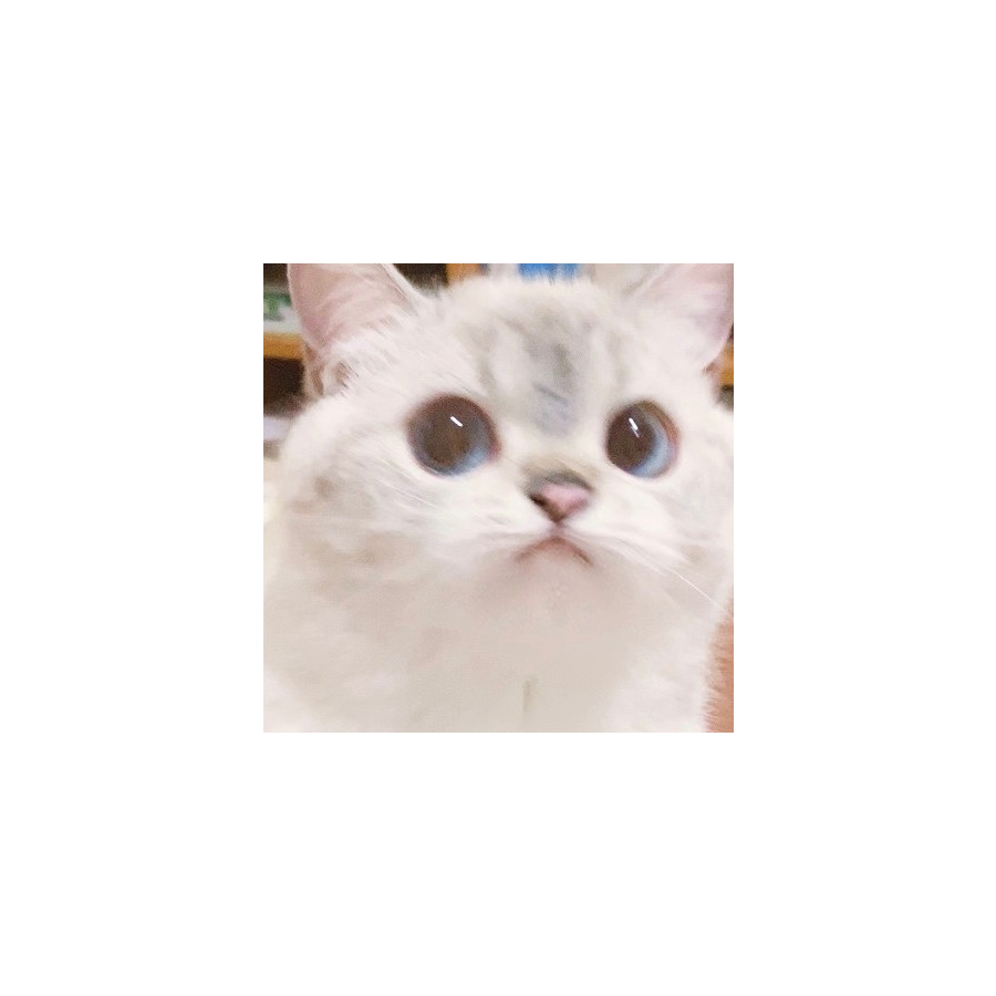 User29121150