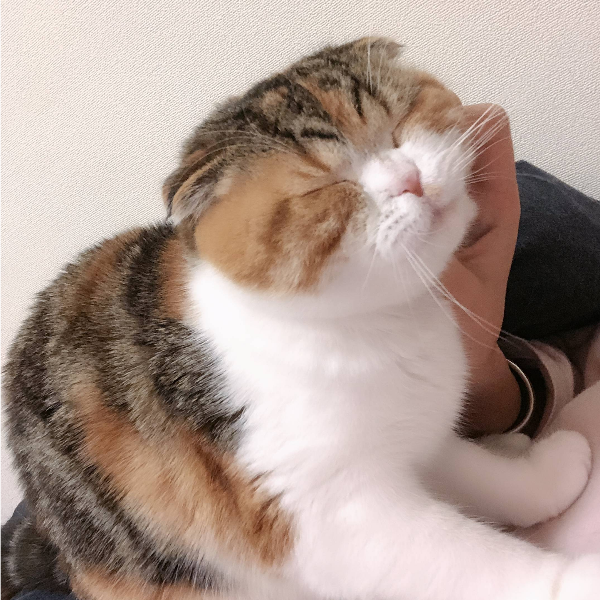 哥们儿上火啊