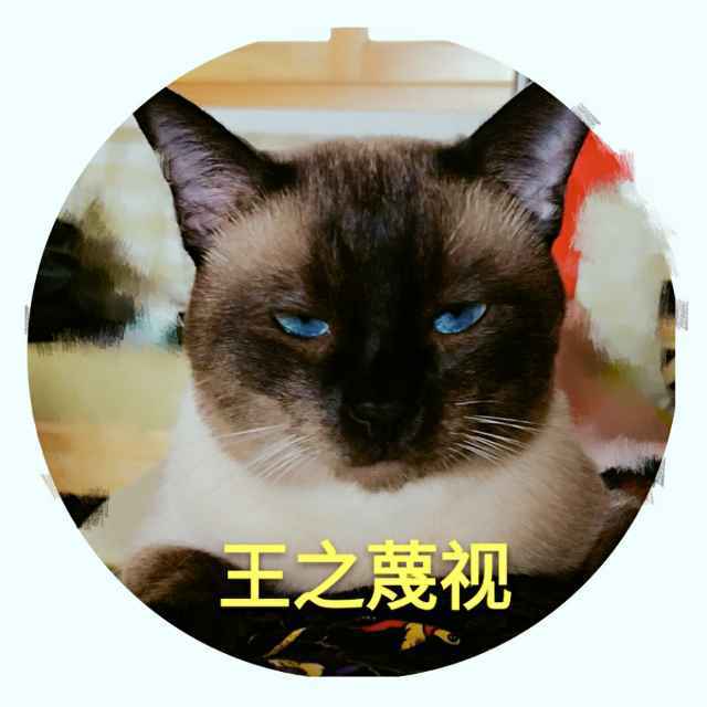 MONO、(˶‾᷄ ⁻̫ ‾᷅
