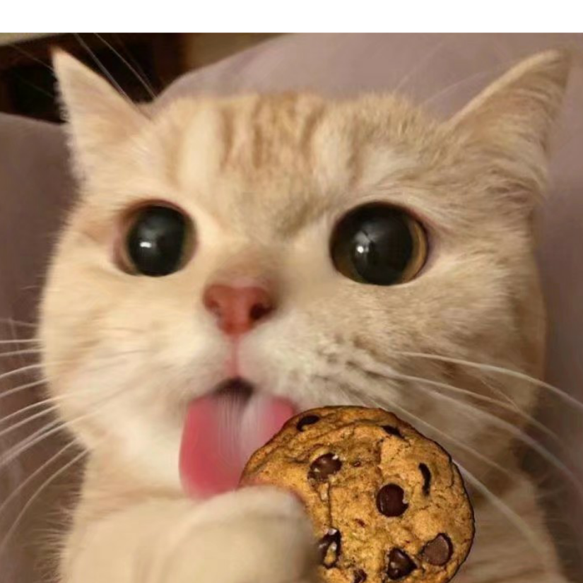 魁枭好呆一只喵