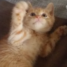 冬日