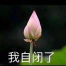 浪里大黑熊