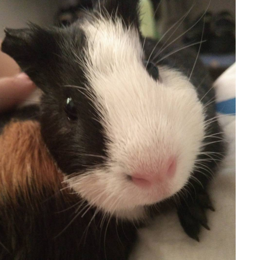 QQ用户12131380