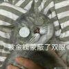 赴汤蹈火啊琛哥