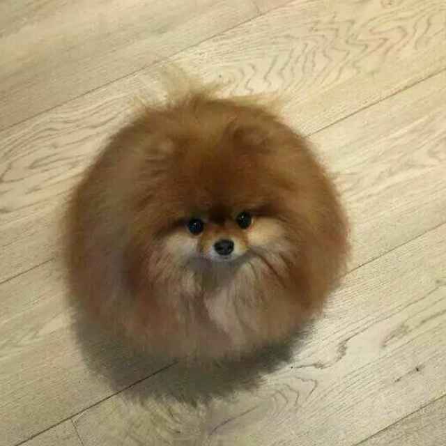 ꧁༺诺言༻꧂