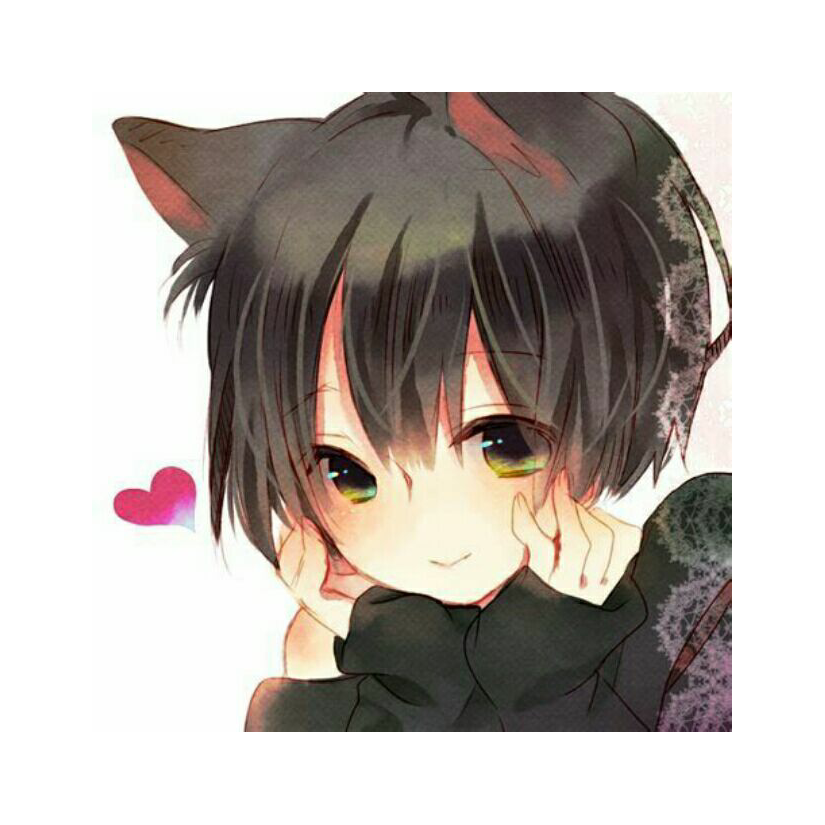 猫小少