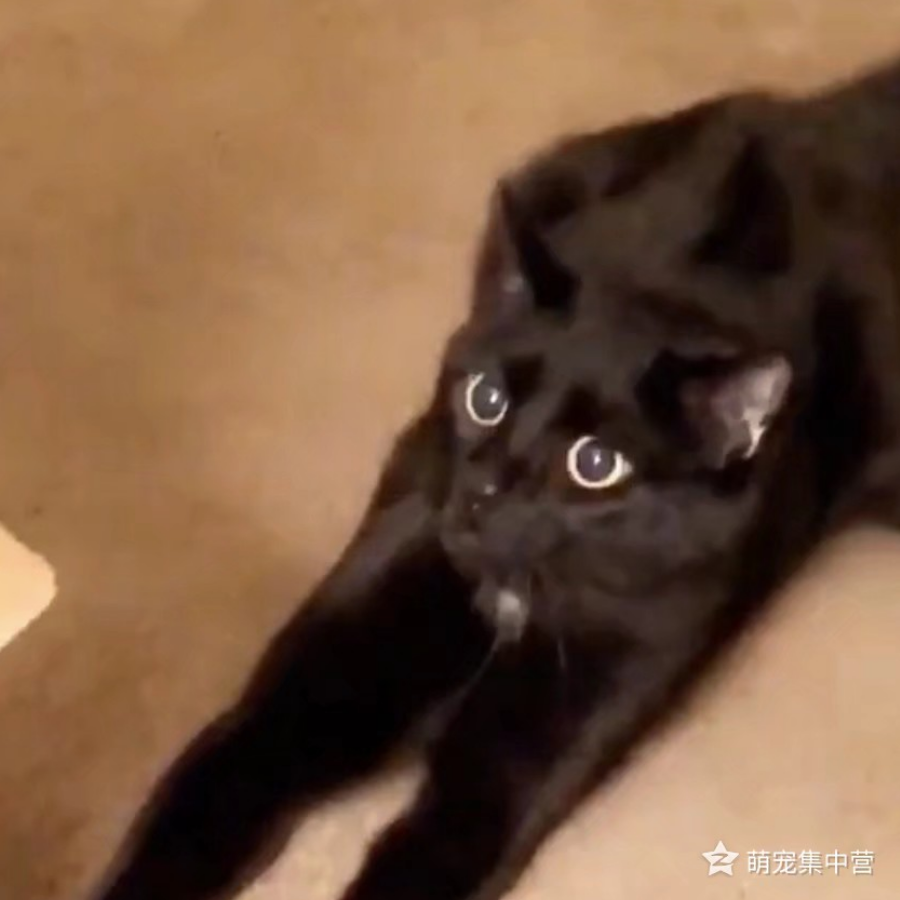 琰玖研究员