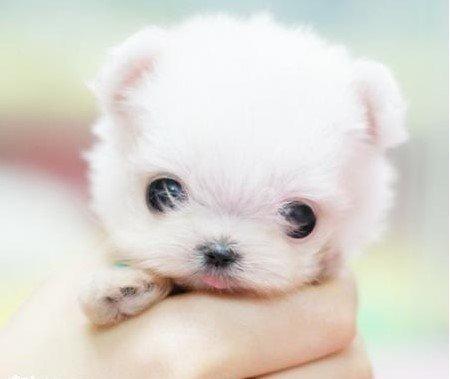 发生错误,重新启动游戏