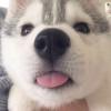 喔喔喔喔