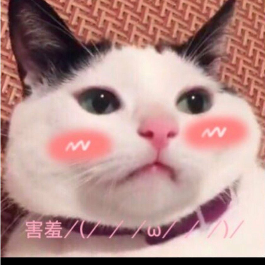 已经是条咸鱼了