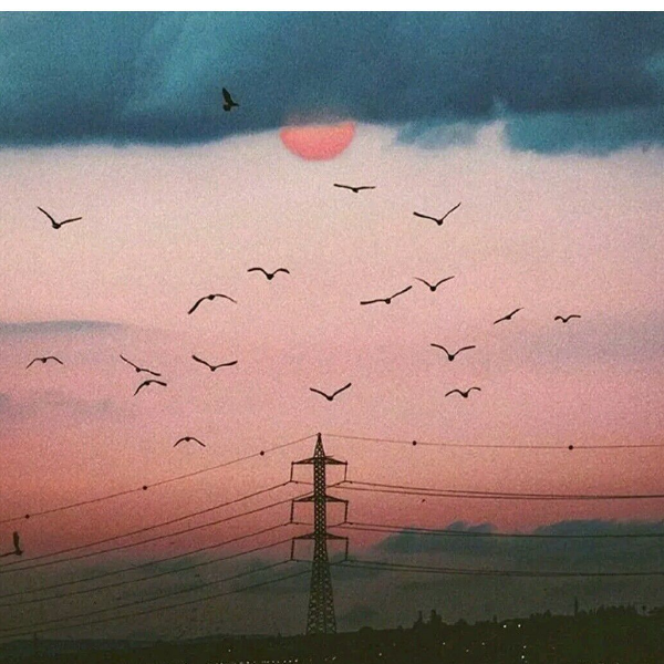 木木