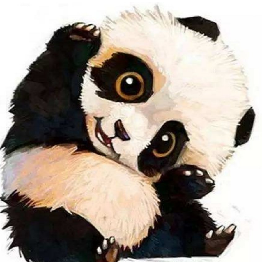 MR. PANDA