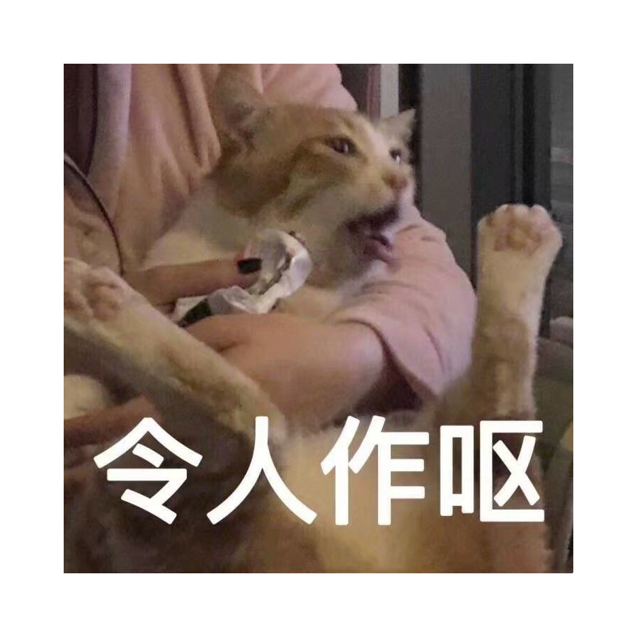 莒曌