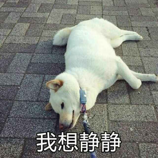 一眼