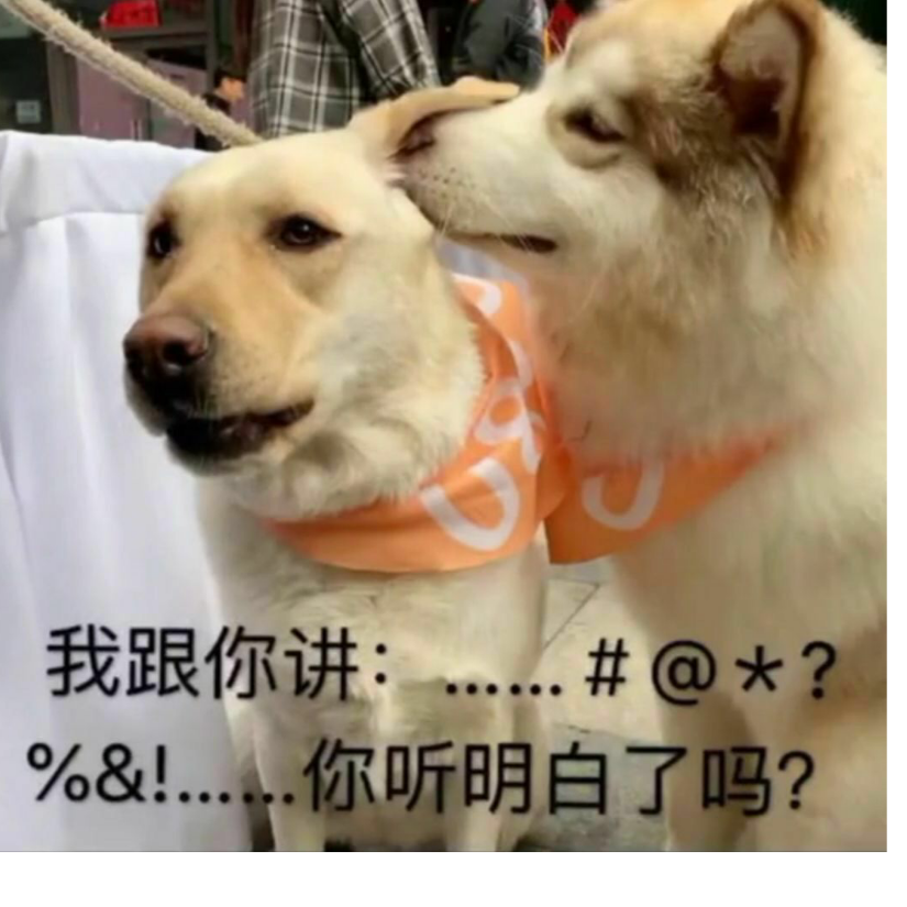 八戒‘你又调皮了’