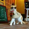 鑫之所向