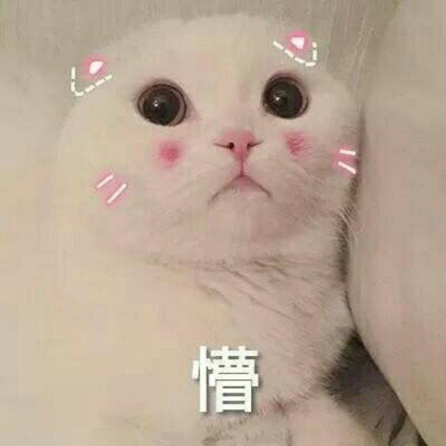 巴裘拉