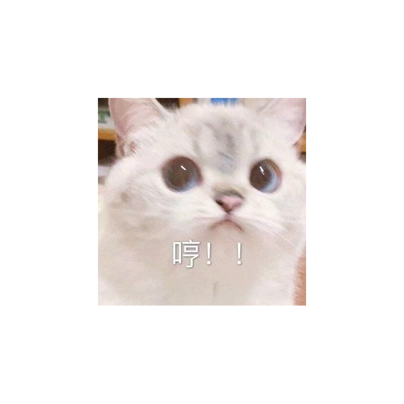 兜兜里有糖