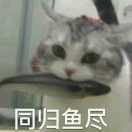 咸鱼子酱
