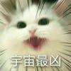 节操生不带来死不带去