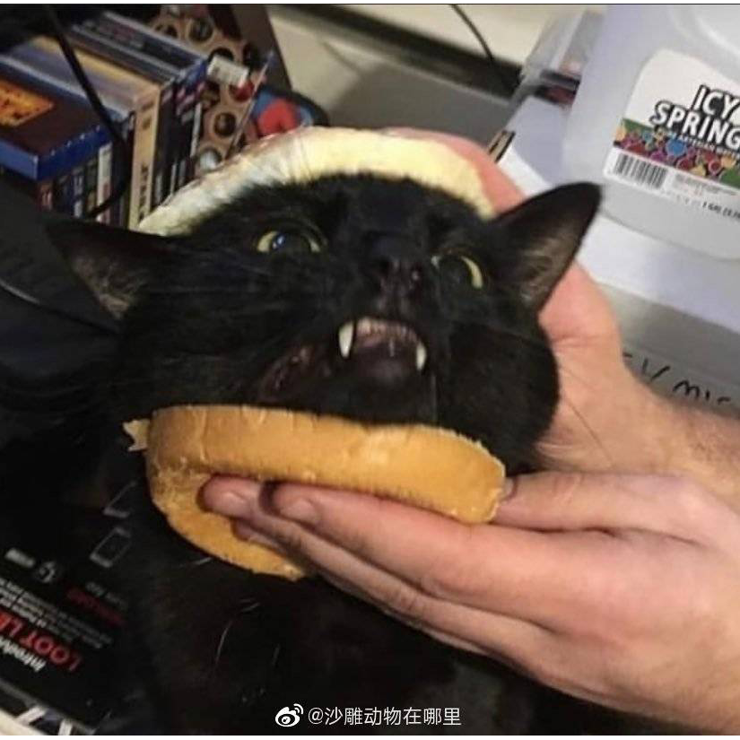 呜陈点点