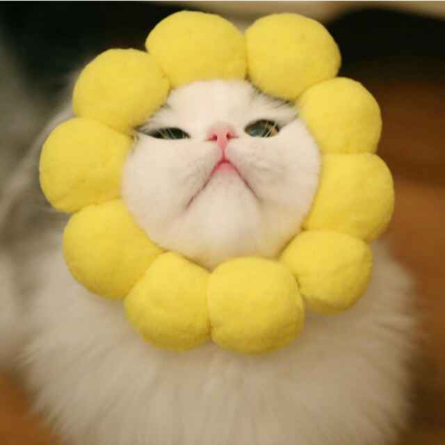 [坏笑][坏笑][坏笑]