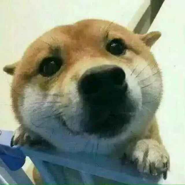 是婉儿呀