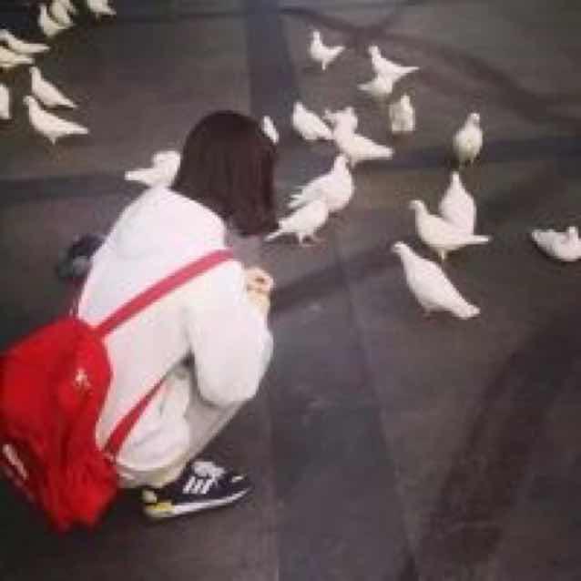野@