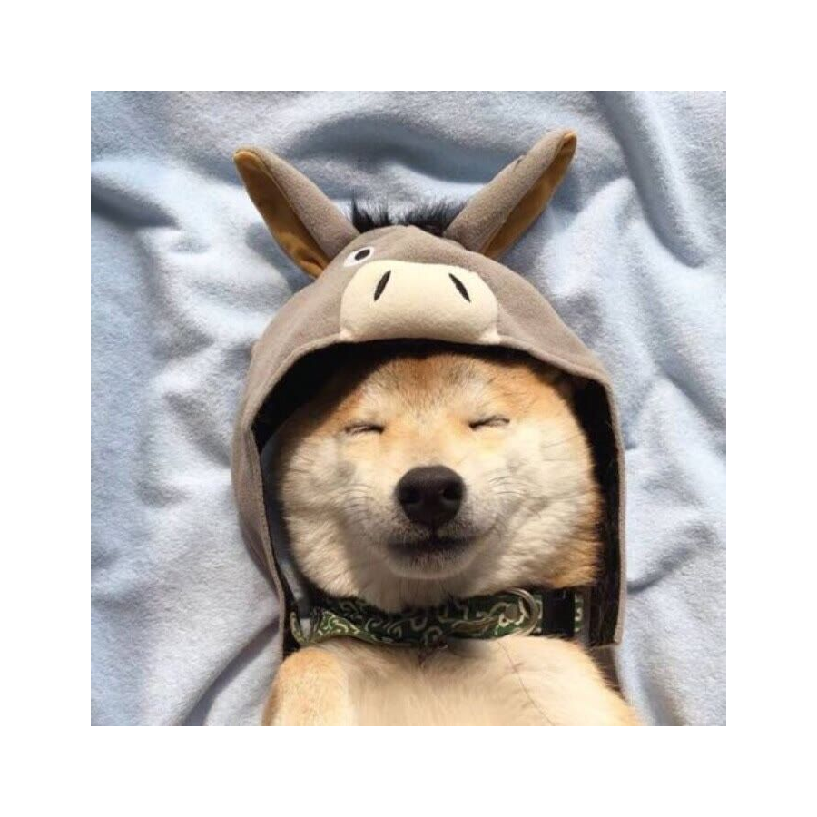 阿布瑞