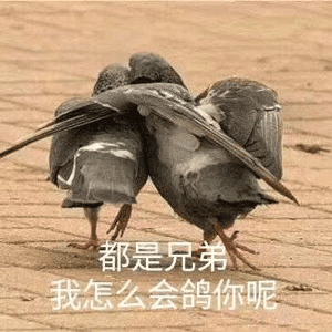 不会咕不会咕