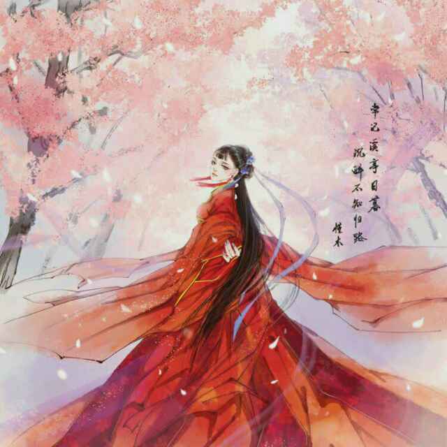 安逸.恋冬梅