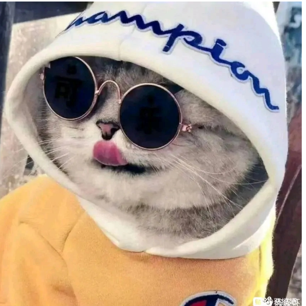 电线杆Simon