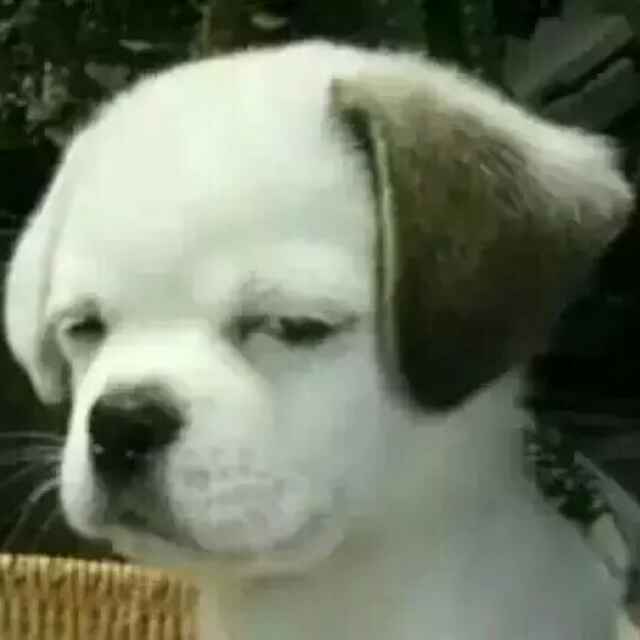 玩啥嘞