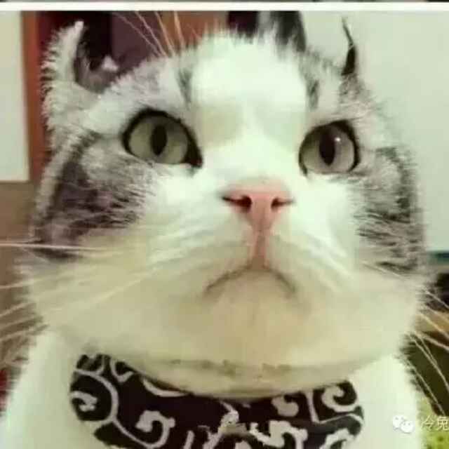 黑莓一户