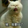 有为青年